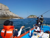 바다낚시 > 점주선장조황 > 약산면 득암항 바다2호,선상조황,생활낚시 약산면 득암항 바다2호선상조황생활낚시