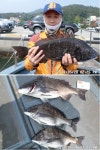 바다낚시 > 점주선장조황 > 진동 뉴성진호/진짜 5짜 대물 감성돔 진동 뉴성진호진짜 5짜 대물 감성돔