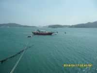 바다낚시 > 점주선장조황 > 4월18일부터용머리 학섬 갯바위출조합니다 4월18일부터용머리 학섬 갯바위출조합니다