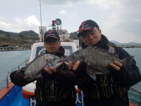 바다낚시 > 점주선장조황 > 약산면 득암항 바다호,초대박!!!5짜마릿수등 40여수.