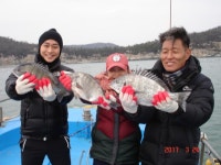 바다낚시 > 점주선장조황 > 완도 대광호(구 먼바다호) 4짜 감성돔 조황입니다 완도 대광호구 먼바다호 4짜 감성돔 조황입니다