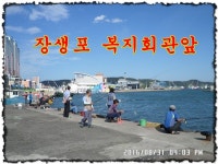 바다낚시 > 점주선장조황 > ♣ 31일 울산 장생포 등대방파제 복지회관앞 조황 ♣
