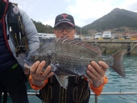 바다낚시 > 점주선장조황 > 약산면 득암항 바다호,초대박!!!5짜마릿수등 40여수.