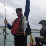 바다낚시 > 점주선장조황 > 선경호~대전갱이&벵에돔&어종불문 베리굿~굿~조황~ 선경호대전갱이벵에돔어종불문 베리굿굿조황