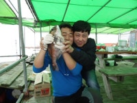 바다낚시 > 점주선장조황 > [남용호]5월 15일 좌대조황 소식 남용호5월 15일 좌대조황 소식