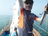 바다낚시 > 점주선장조황 > (지월호) 참돔 오늘 오전낚시 조황 입니다