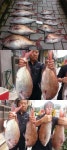 바다낚시 > 점주선장조황 > 3호대 작살나고 많이 놓쳤습니다~ 3호대 작살나고 많이 놓쳤습니다