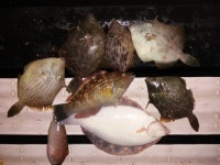 바다낚시 > 점주선장조황 > 무더운 여름휴가를 낚시공원에서 무더운 여름휴가를 낚시공원에서