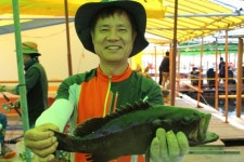 바다낚시 > 점주선장조황 > [남용호] 5월 5일 금요일 좌대조황 소식 남용호 5월 5일 금요일 좌대조황 소식