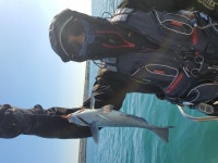 바다낚시 > 점주선장조황 > ⚀장보고~온산권 겨울 벵에돔 좋습니다^^ ⚀