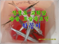 바다낚시 > 점주선장조황 > ♣ 2월13일 울산 장생포 등대방파제 복지회관앞 ♣ ♣ 2월13일 울산 장생포 등대방파제 복지회관앞 ♣