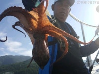 바다낚시 > 점주선장조황 > [여수캐리비안호] 여수권돌문어 오늘 조황입니다.예약☎는 언제든 콜~~~입니다!!! 여수캐리비안호 여수권돌문어 오늘... 