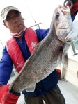바다낚시 > 점주선장조황 > 29일 격포서울낚시 대박2호 민어 조황입니다 29일 격포서울낚시 대박2호 민어 조황입니다