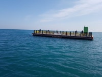 바다낚시 > 점주선장조황 > 낚시공원 수상좌대 낚시터(설날조황) 낚시공원 수상좌대 낚시터설날조황