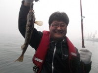 바다낚시 > 점주선장조황 > 먹고 즐기는 나들이 출조 먹고 즐기는 나들이 출조