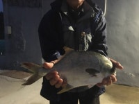 바다낚시 > 점주선장조황 > 해남 땅끝바다낚시터 9월28일 조황정보