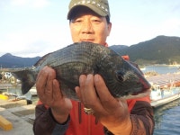 바다낚시 > 점주선장조황 > 주말 시산권 조황 주말 시산권 조황