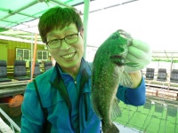 바다낚시 > 점주선장조황 > [남용호]5월 2일 토요일 좌대조황 소식 남용호5월 2일 토요일 좌대조황 소식