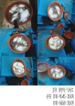 바다낚시 > 점주선장조황 > 0521, 0608, 0609, 0611 울진 죽변항 덕성호 도다리조황 현황 0521 0608 0609 0611 울진 죽변항 덕성호... 