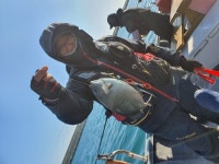 바다낚시 > 점주선장조황 > ⚀장보고~온산권 겨울 벵에돔 좋습니다^^ ⚀