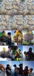 바다낚시 > 점주선장조황 > 삼천포 똘이장군// 왕~알쭈꾸미..살아납니다~~!!