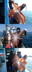 바다낚시 > 점주선장조황 > 성복호 대왕문어 대박 4/2