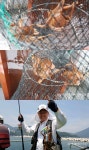 바다낚시 > 점주선장조황 > 진해 돌문어 실시간조황 오징어 돌문어 예약중 진해 돌문어 실시간조황 오징어 돌문어 예약중