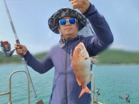 바다낚시 > 점주선장조황 > [지월호]오늘 참돔 생활낚시 조황입니다
