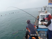 바다낚시 > 점주선장조황 > (지월호) 참돔 오늘 오전낚시 조황 입니다