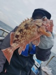 바다낚시 > 점주선장조황 > ★블루윙호 외줄 스타트! 열기& 우럭 알~찬 조황 !!! ★ ★블루윙호 외줄 스타트 열기 우럭 알찬 조황  ★