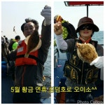 바다낚시 > 점주선장조황 > 4/30현재.똥바람도 쓰리피,투피에는 굴복~주중주말예약중 430현재똥바람도 쓰리피투피에는 굴복주중주말예약중