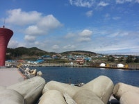 바다낚시 > 점주선장조황 > 낚시공원 바다날씨 낚시공원 바다날씨