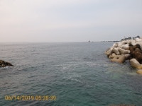 바다낚시 > 점주선장조황 > 감포바다 기상 및 조황정보(마리수 벵에돔 )