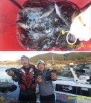 바다낚시 > 점주선장조황 > 씨알급벵에돔 조황!