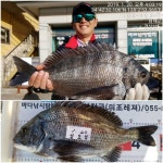바다낚시 > 점주선장조황 > 그바람에 감성돔이 얼굴을~~