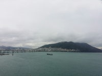 바다낚시 > 점주선장조황 > 송도암남공원감성돔(2층입구낚시)