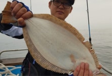 바다낚시 > 점주선장조황 > 생미끼, 빵좋은 대광어 이른 새벽부터 줄줄이~~! 대호피싱호