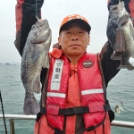 바다낚시 > 점주선장조황 > 5월1일오천영환호우럭조황긋