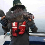 바다낚시 > 점주선장조황 > 5월31일오천영환호우럭조황