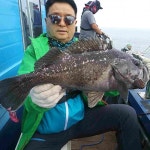 바다낚시 > 점주선장조황 > 5월31일오천영환호우럭조황