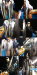 바다낚시 > 점주선장조황 > 통영들물 보성호 먼바다 3~5지들 계속 만선 이어지네요~~내일부터 쭉~예약~~~