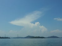 바다낚시 > 점주선장조황 > 시산권 조황 시산권 조황