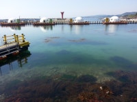 바다낚시 > 점주선장조황 > 낚시공원 이모저모 낚시공원 이모저모