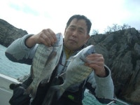 바다낚시 > 점주선장조황 > 2/24(수) 소안도조황. 224수 소안도조황