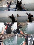 바다낚시 > 점주선장조황 > 낮 뽈락조황