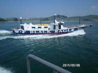 바다낚시 > 점주선장조황 > 여수월드낚시 블랙이글호 갈치조황.. 마릿수조황