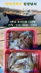 바다낚시 > 점주선장조황 > 구산면 타이거 호렉