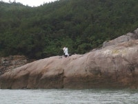 바다낚시 > 점주선장조황 > 악천후속 감성돔 조황 악천후속 감성돔 조황