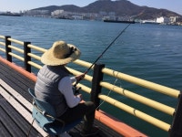 바다낚시 > 점주선장조황 > 여수가족체험낚시터 서서히 다가온다 여수가족체험낚시터 서서히 다가온다