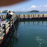 바다낚시 > 점주선장조황 > 여수가족체험낚시터 아침체험낚시